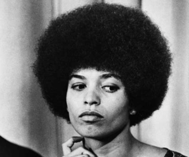 <ul><li><p>representations of the movement </p></li><li><p>ex. angela davis’ hair</p></li></ul><p></p>