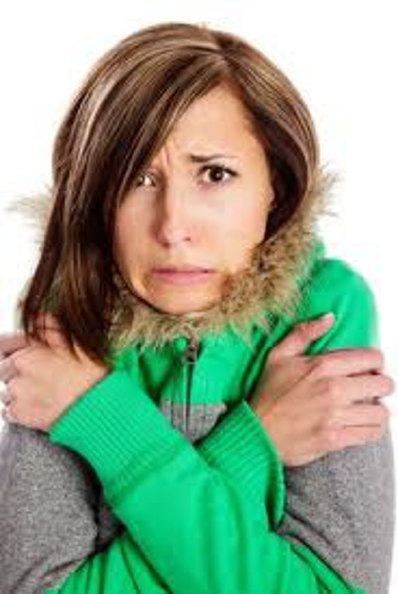 <p>мерзнути</p>