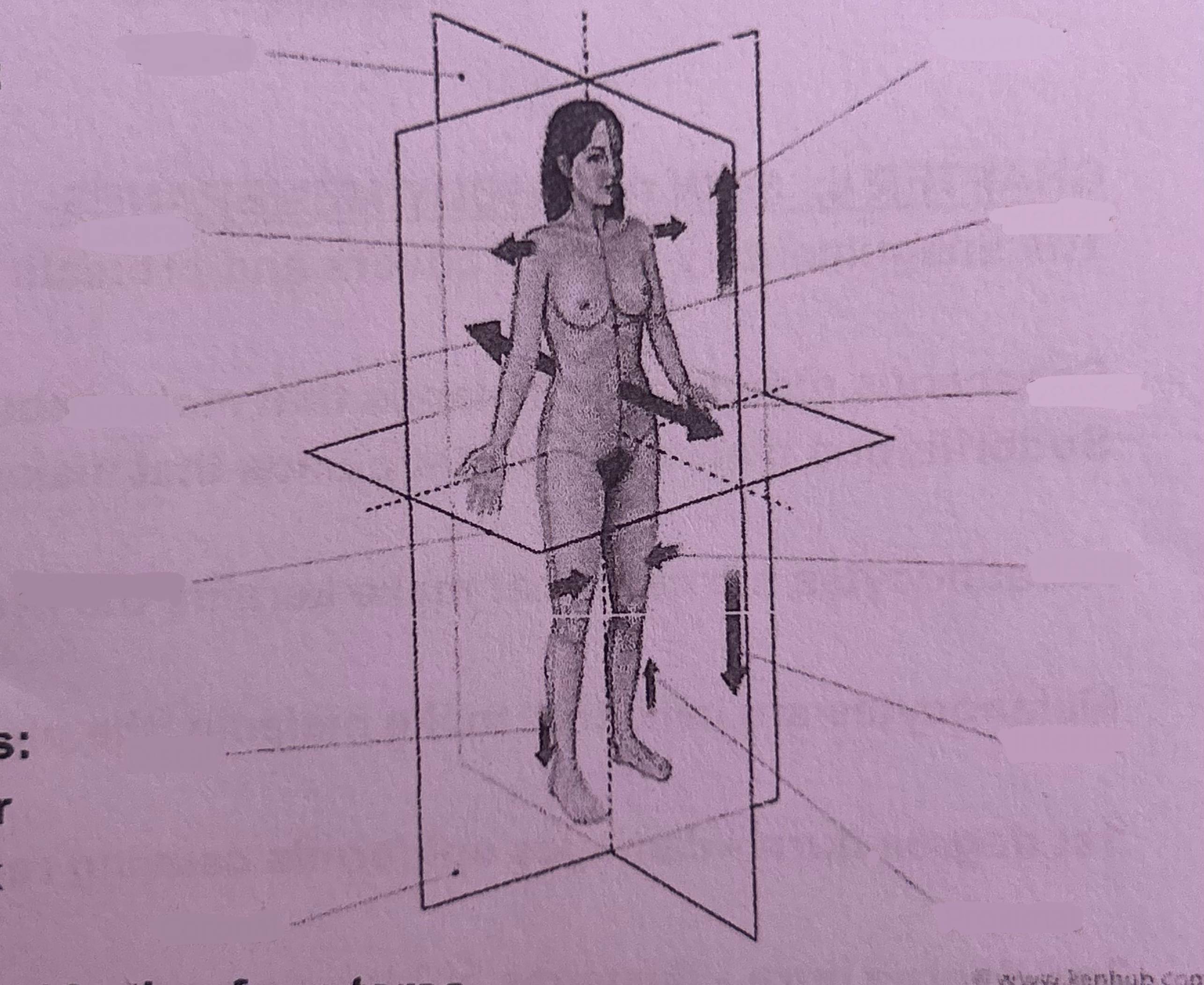 term image