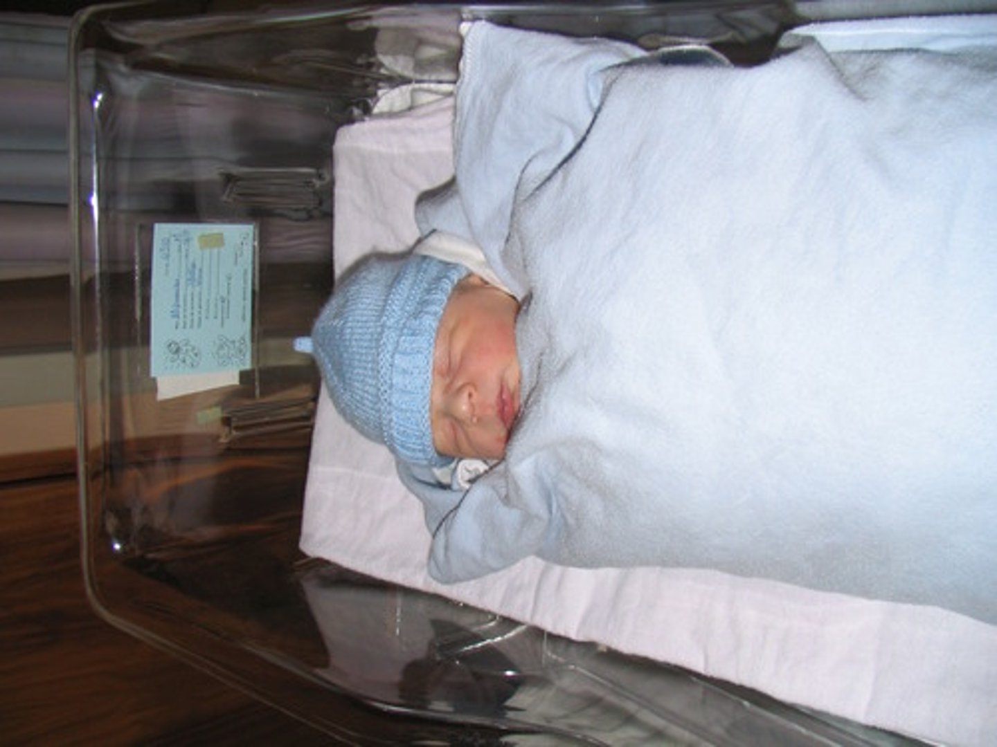 <p>né (to be born)</p>