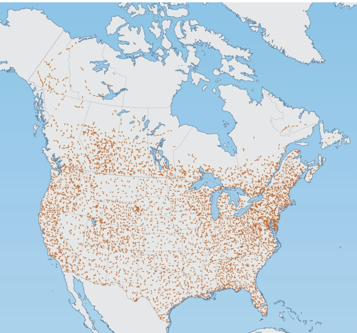 <p>Started in 1966, surveys every breeding season when birds are singing. Volunteers walk 40k transects and record 3 minute point counts at half mile intervals, noting species, #’s, and breeding behaviors. <strong>Samples breeding population.</strong></p>