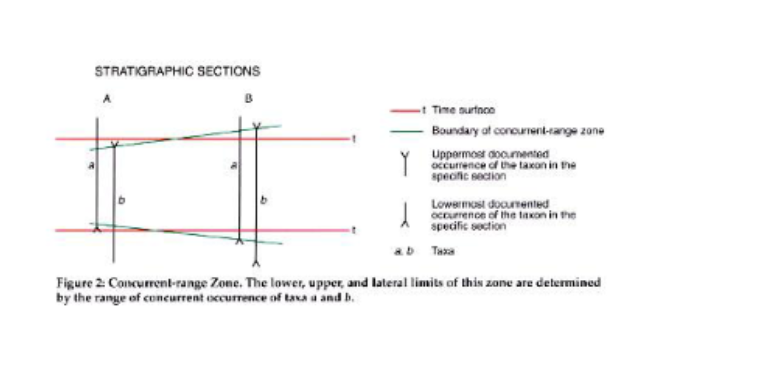 <p>Uses two taxa</p>