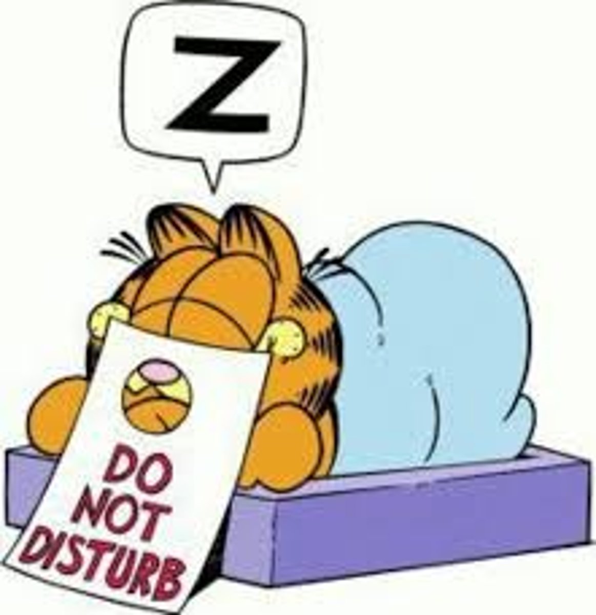 <p>do not disturb</p>