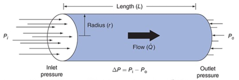 <p>Resistance to flow through a cylindrical tube depends on radius and length of the tube and the viscosity of the fluid flowing through it</p><ul><li><p>Small changes in internal radius have a huge influence on resistance to flow</p></li></ul><p></p>