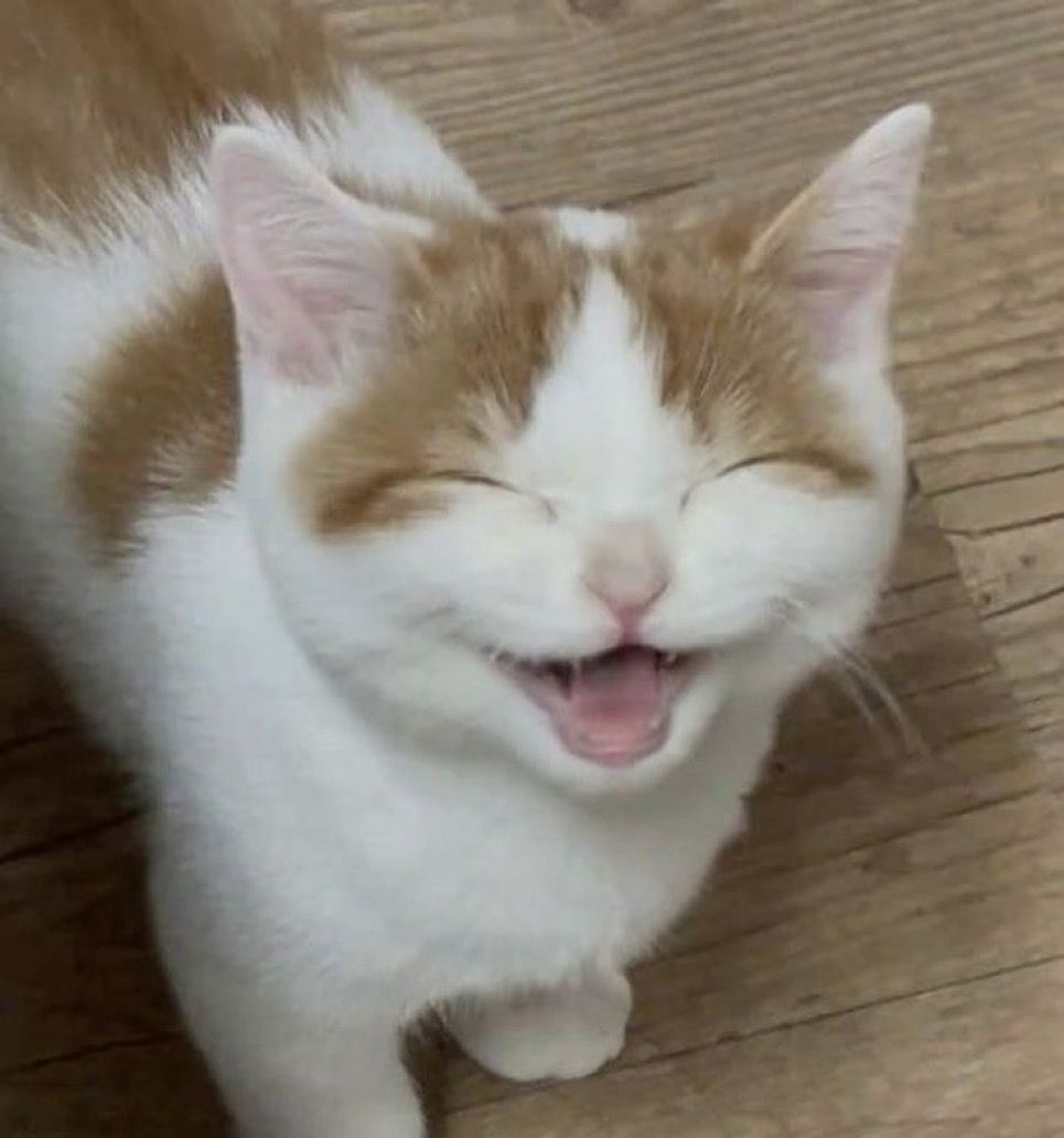 <p>She felt _ _ _ _ _ _ when she heard the good news.</p>