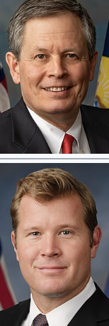 <p></p>