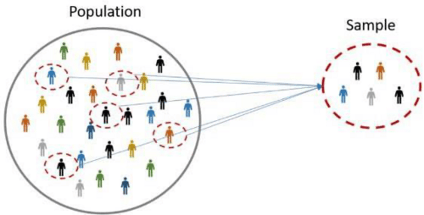 <p>A subgroup of the population that will be studied and from which conclusions are drawn.</p>