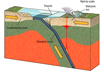 The figure shown here is a typical example of what plate boundary?