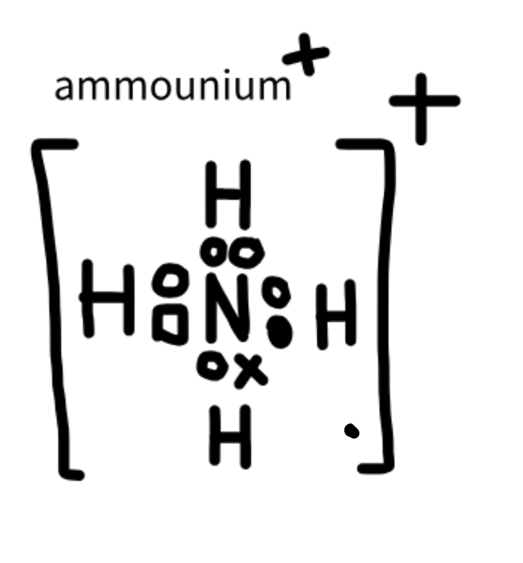 <p>NH<sub>4</sub><sup>+</sup></p>