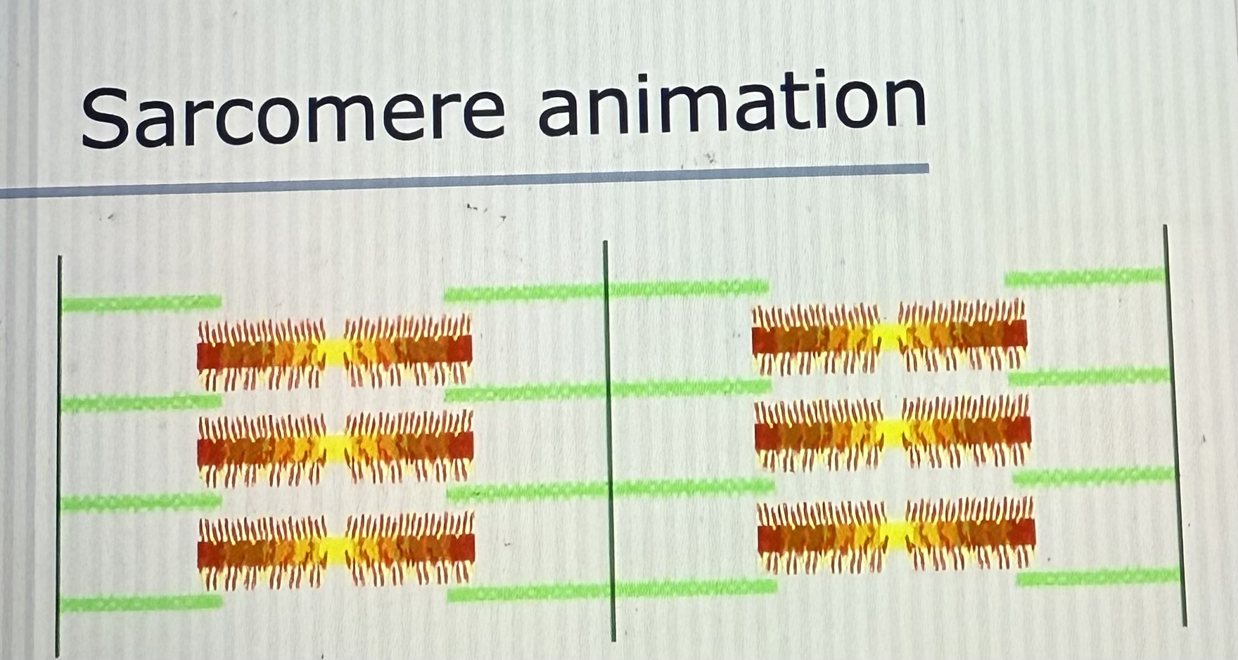 <p>Refer to PowerPoint</p>