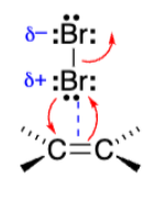 <p>Alkene grabs one Bromine as bromine grabs alkene</p>
