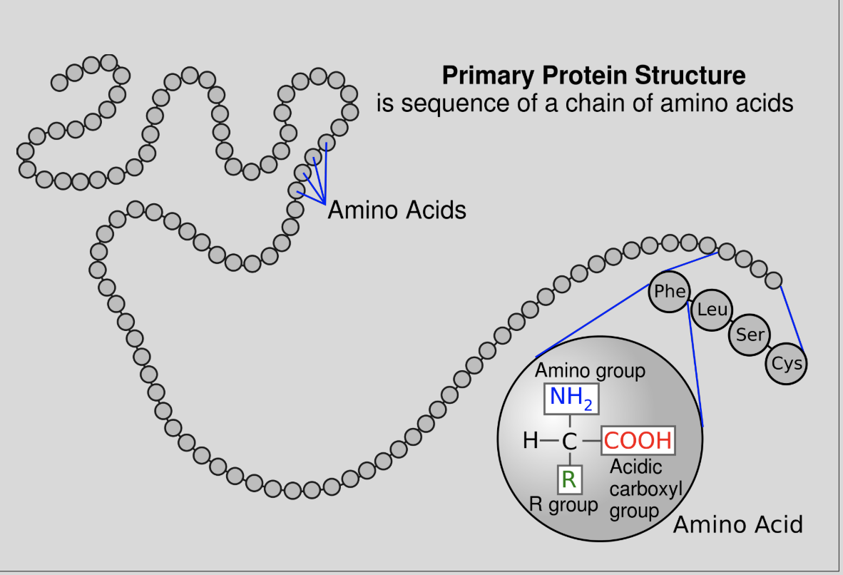 <p>a mlc. consisting of repeating subunits (monomers)</p>