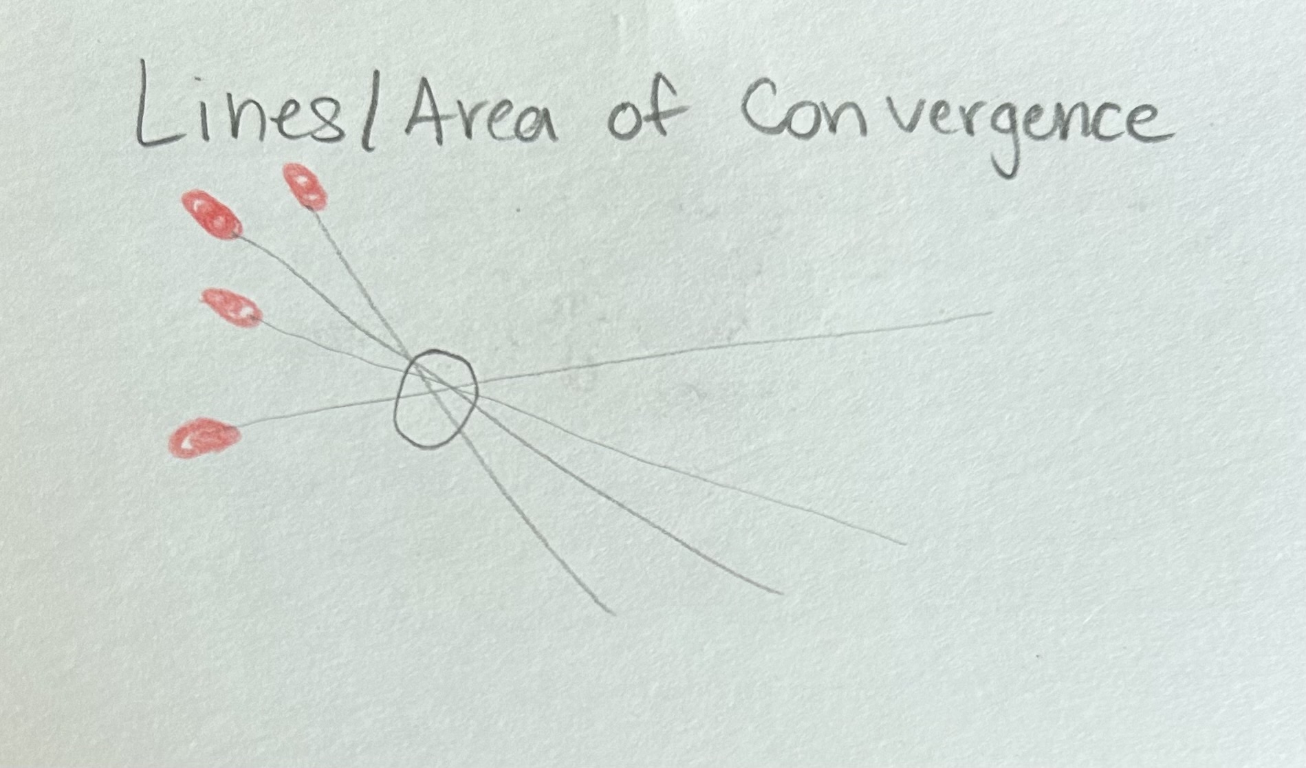 <p>Two dimensional view of the intersection of lines formed by drawing a line through the main axis atleast two drops of blood that indicated the general area of the source of the blood spatter </p>
