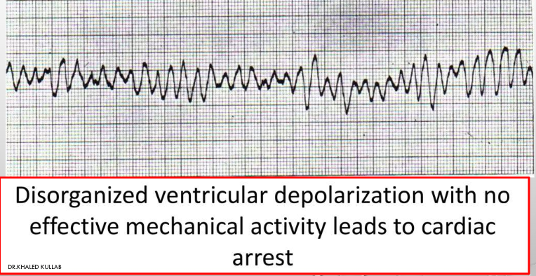 <p>what is this?</p>