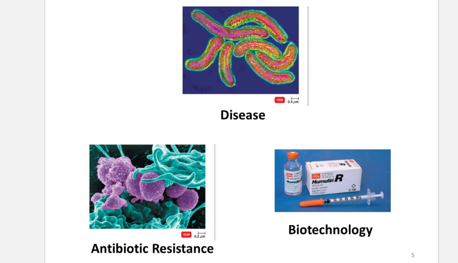 <p>To know &amp; prevent diseases </p><p>To know &amp; study Antibiotic Resistance </p><p>Biotechnology </p><ul><li><p>Evolution and emerging threats of diseases </p></li></ul><p></p>