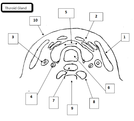 <p>5</p>