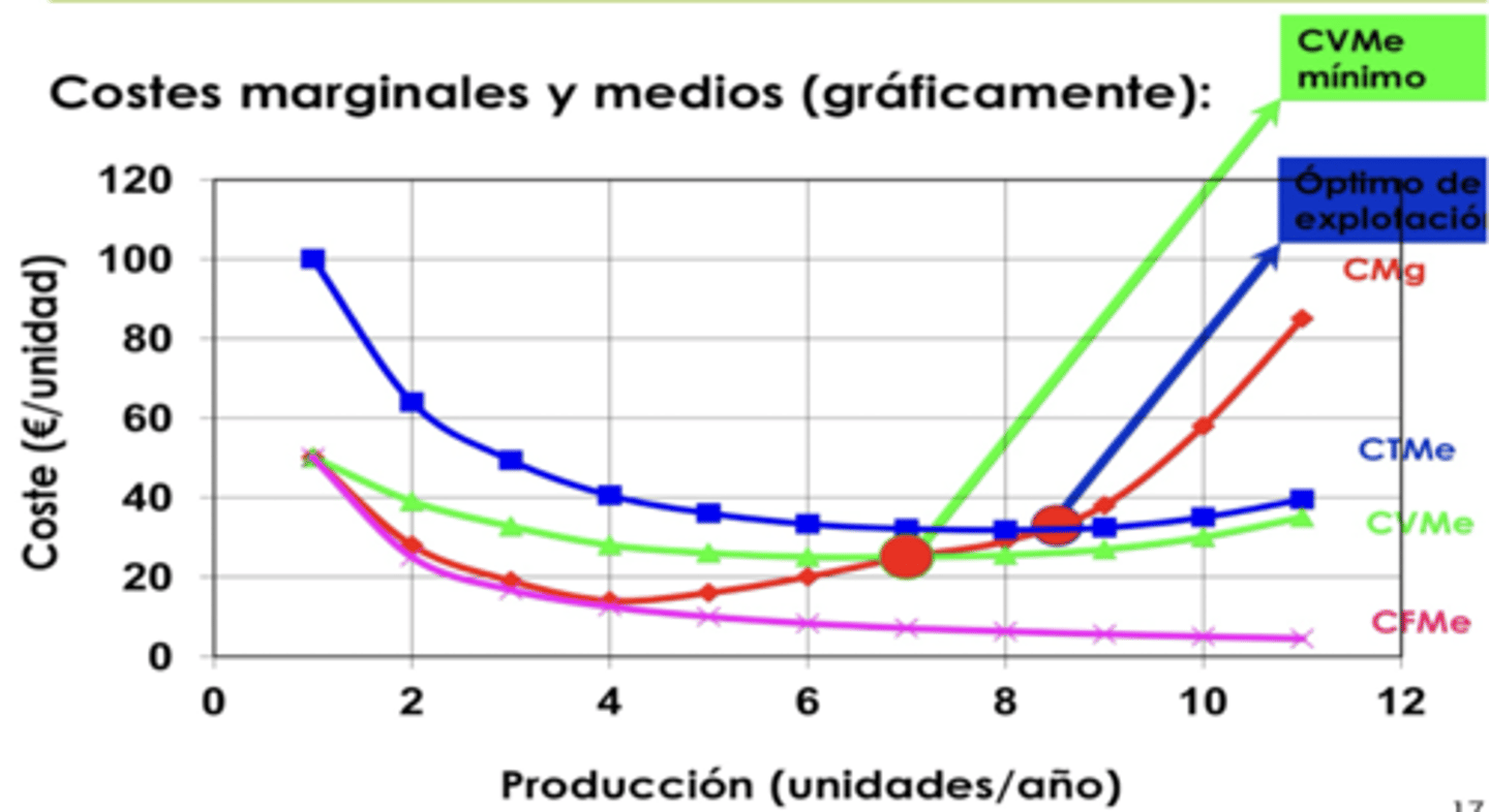 <p>cuando el CMg es menor</p>