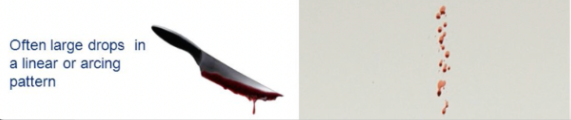 <p>Blood stains created when blood is released from a moving, bloody object (ex. a bloody knife being swung through the air)</p>
