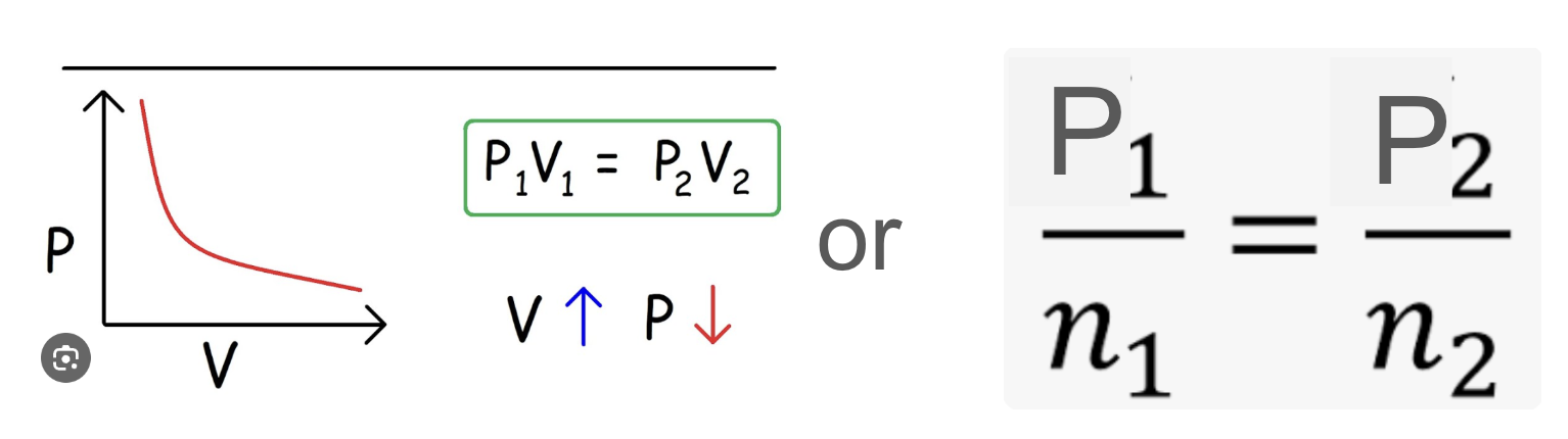 <ul><li><p>states that the pressure of a container is inversely proportional to volume of container</p></li><li><p>but pressure is directly proportional to num of moles</p></li></ul><p></p>