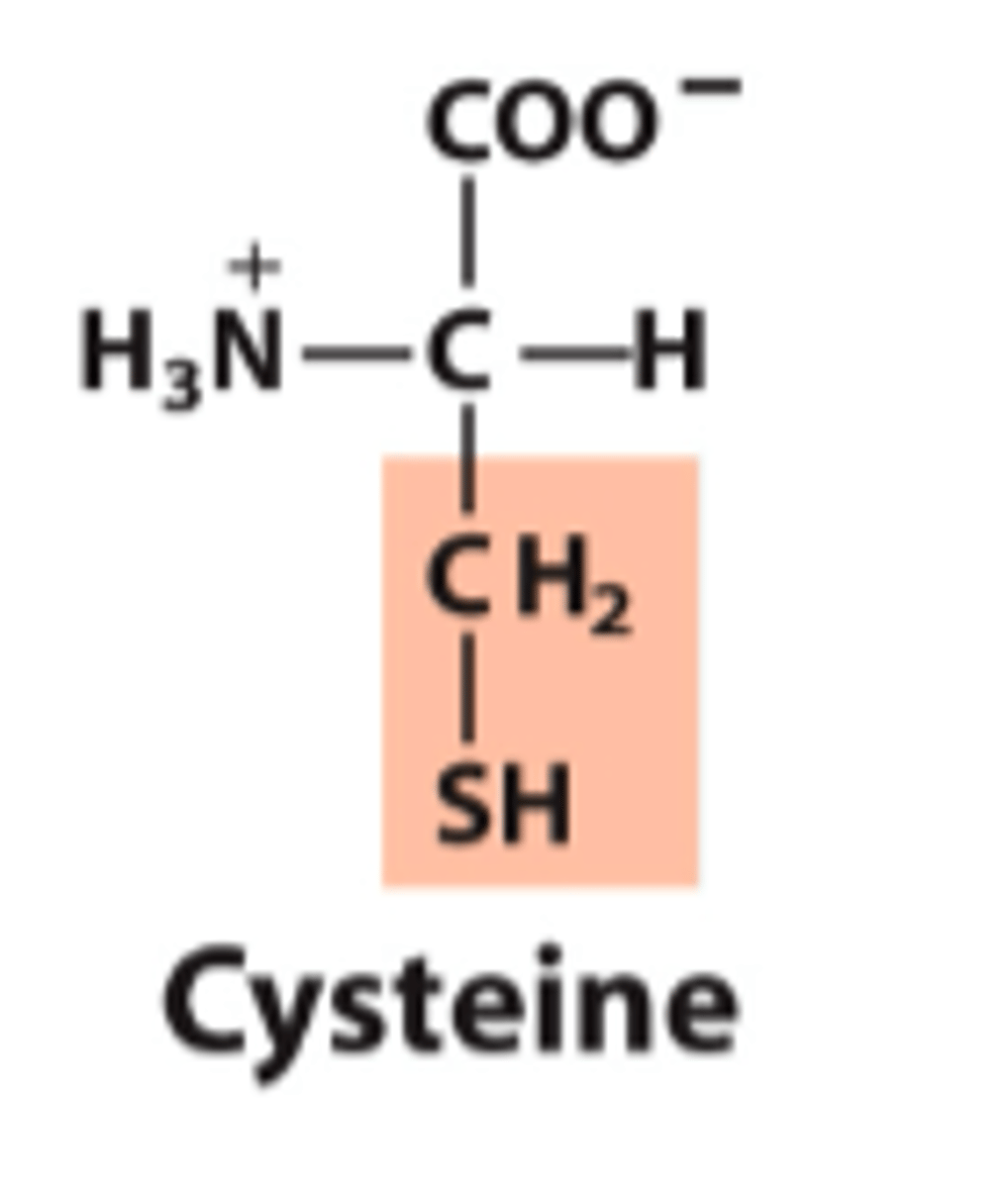 <p>What is the classification of this amino acid's R group?</p>
