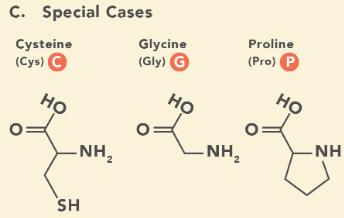 <p>Cystine, Glycine and Proline.</p><p>They all have unique side chain structure which gives them important properties in protein structure.&nbsp;</p>