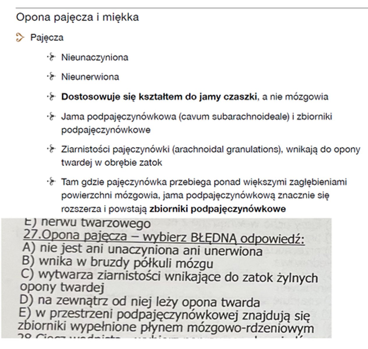 <p>27</p>