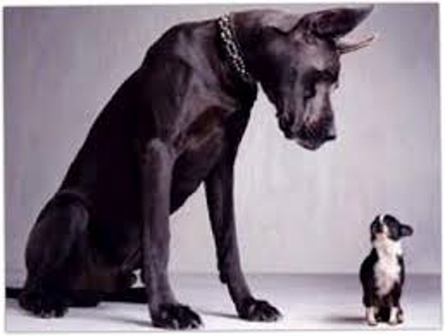 <p>making you feel frightened</p><p>(đe dọa)</p><p>= threatening (đe dọa)</p><p>&gt;&lt; reassuring (trấn an)</p>