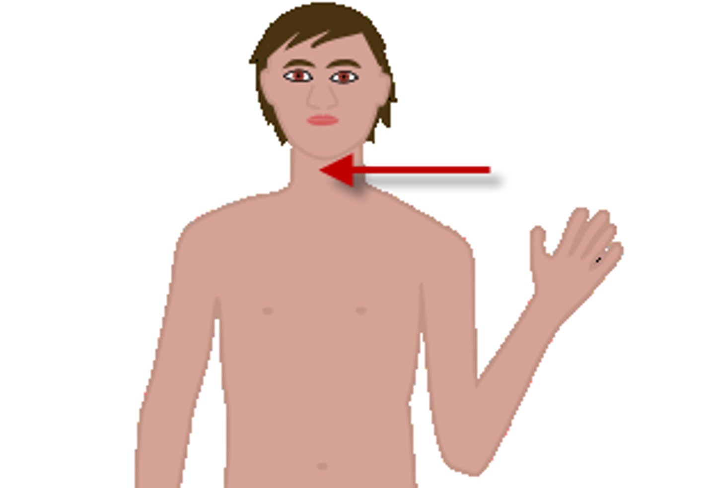 <p>neck / Cái cổ (Đực)</p>