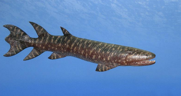 <p>Eusthenopteron</p>