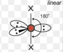 <p>Linear </p>
