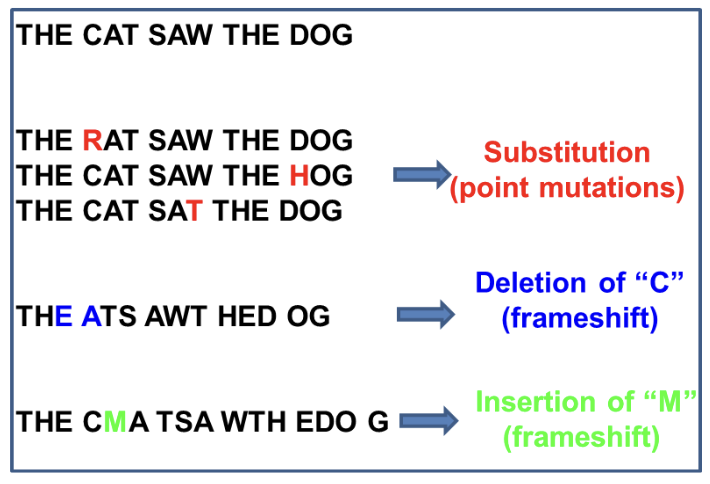 <p>A change at a SINGLE BASE on the DNA </p>