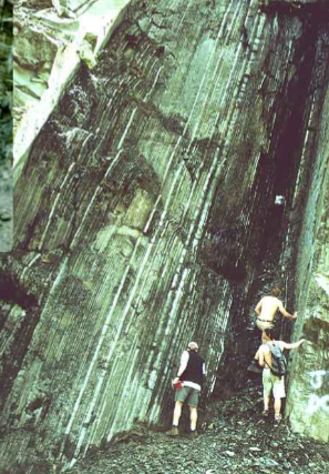 <p>Turbidity current</p>