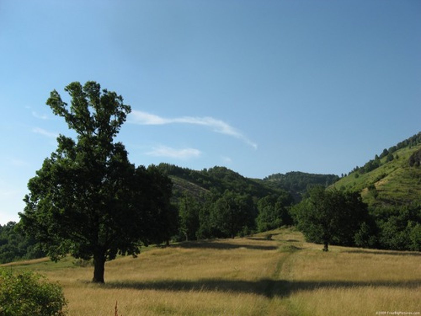 <p>Good Afternoon</p>