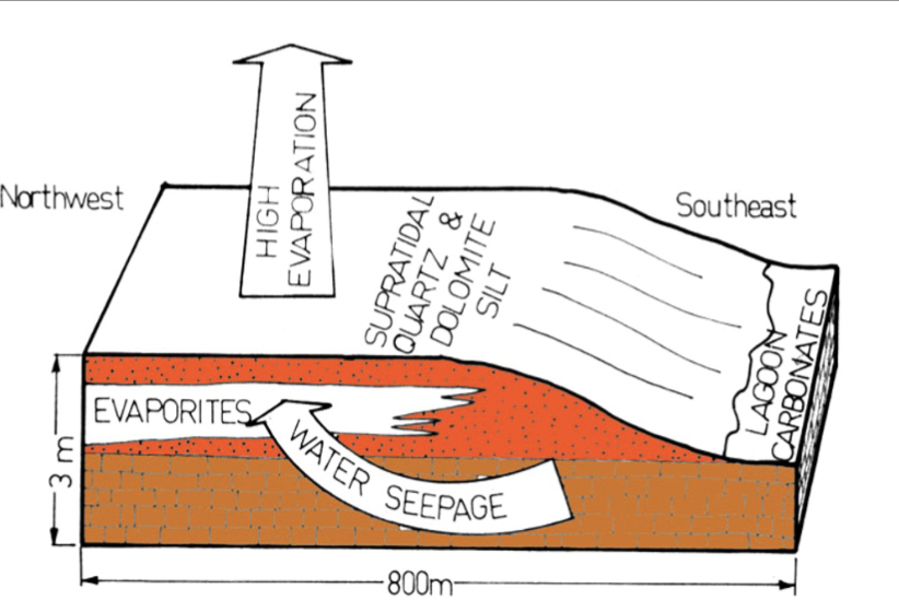 <p>Within sediment above a saline water table with high evaporation rate</p>