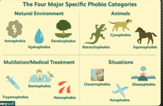 <ul><li><p>A persistent, unreasonable intense fear of a specific object, activity, or situation.</p></li></ul><p></p>