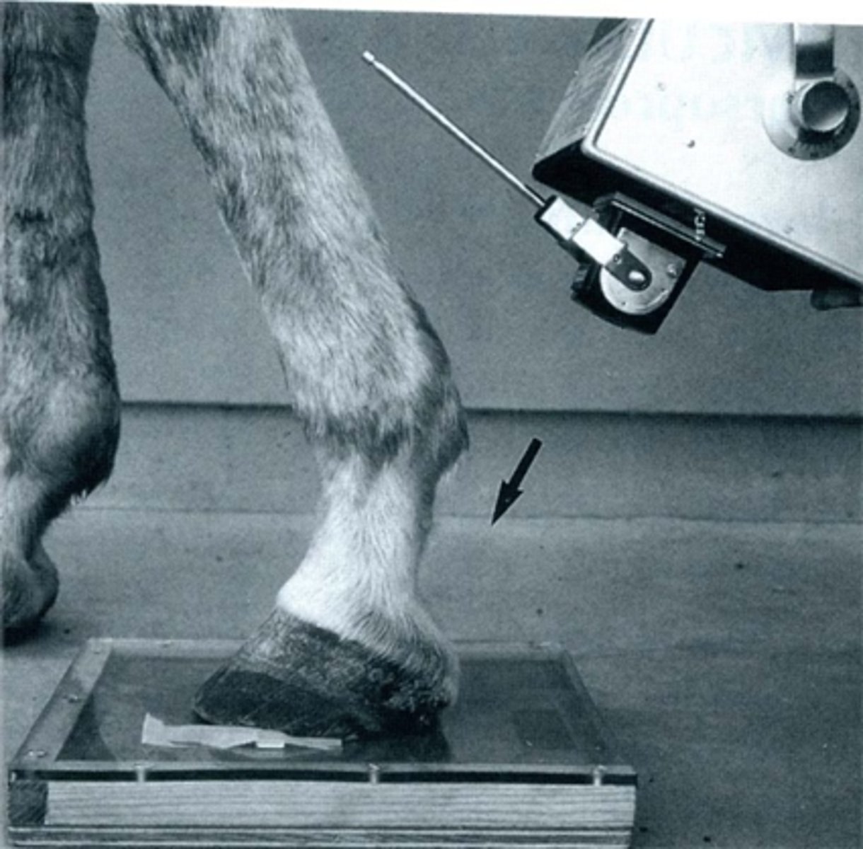 <p>What view is being taken?</p>