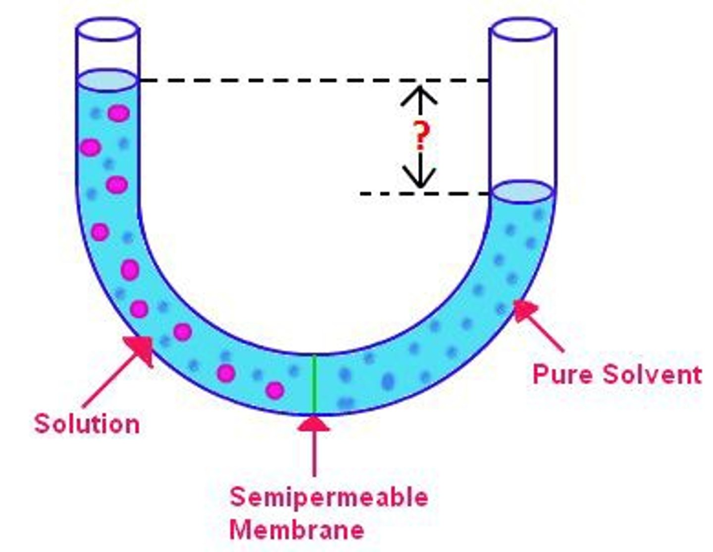 <p>pressure that must be applied to prevent osmotic movement across a selectively permeable membrane when solutes are in water solution.</p>