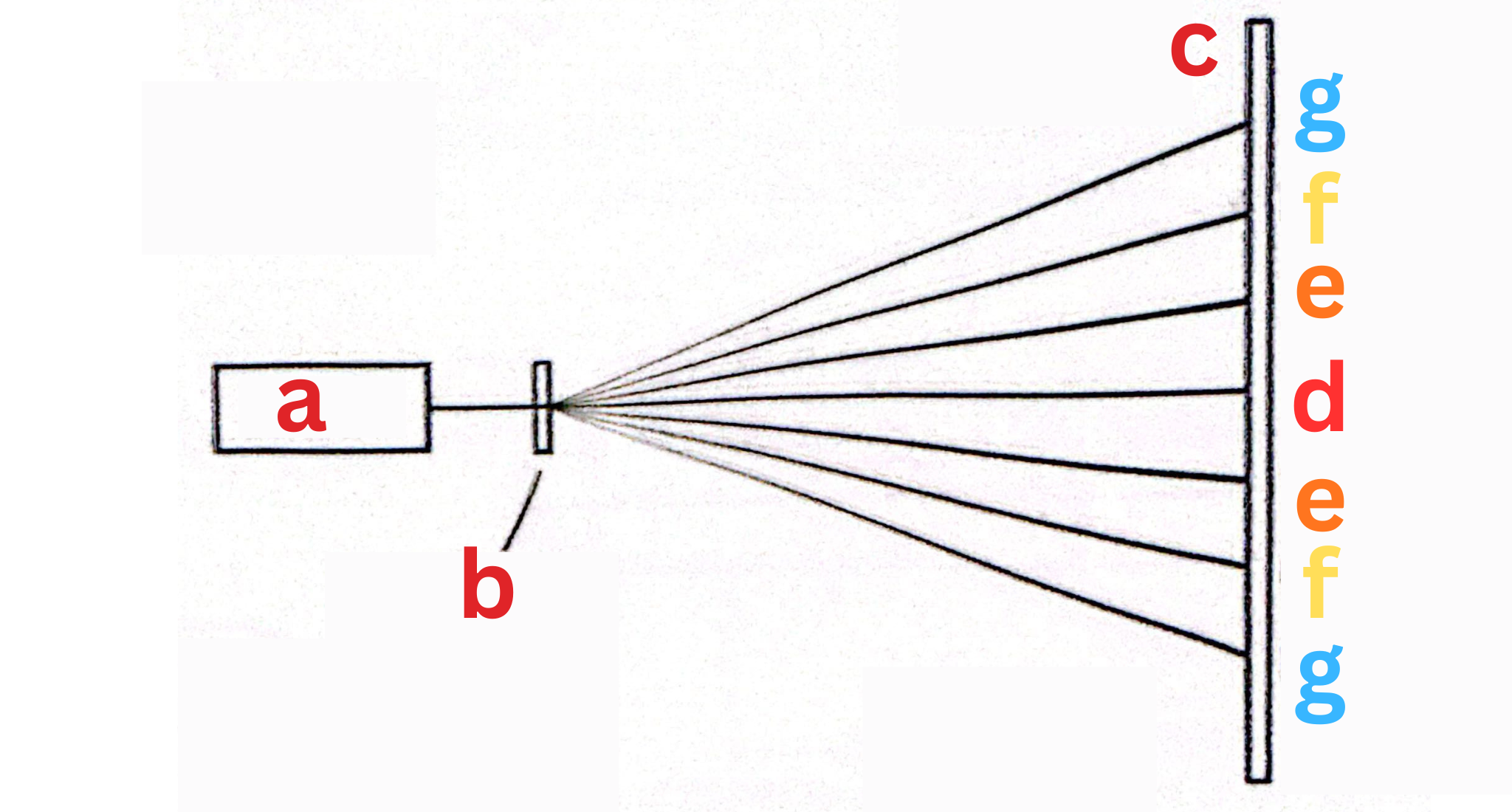 <p>Label This Diagram</p>