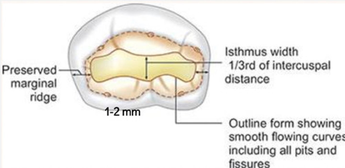 <p>mesiodistal width of lingual extension</p><p>*essentially the straight part of the prep that connects the distal and lingual pits</p>