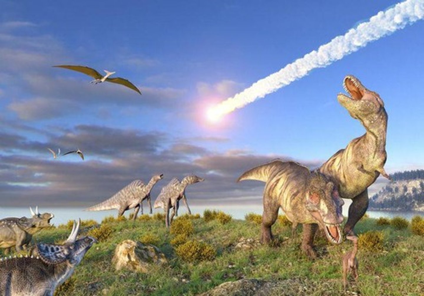 <p>Meteor impact caused dinosaur extinction 66 million years ago.</p>