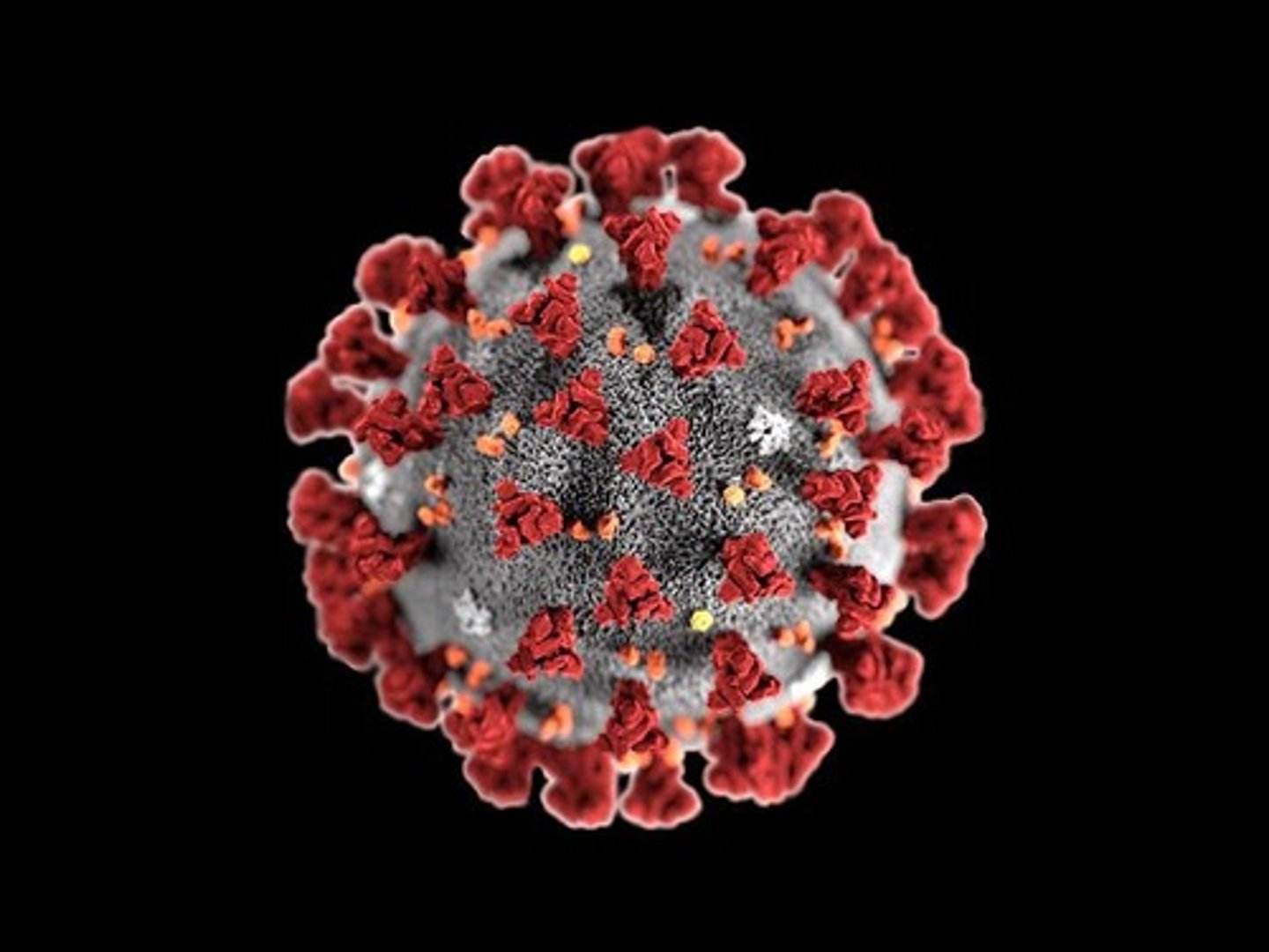 <p>Pandemic disease caused by SARS-CoV2. Symptoms are mild in 80% of the cases, severe in ~10%, with a 2-3% case fatality rate (due to pneumonia and multi-organ failure)</p>