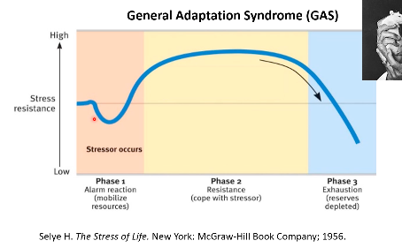 <p>How can stress be defined? What is stress as a response? What is the general adaptation syndrome?</p>