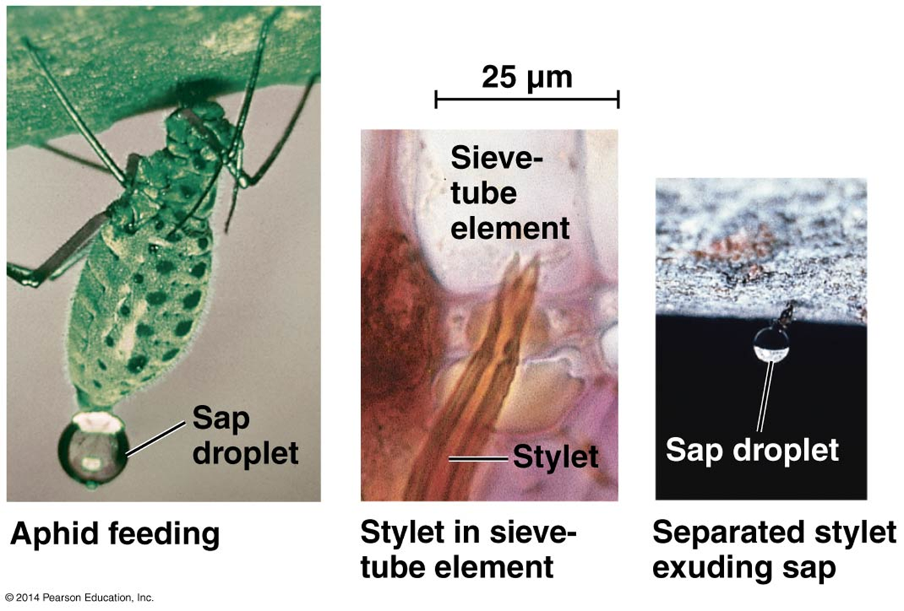 <p>Explain the concept of these photos.</p>