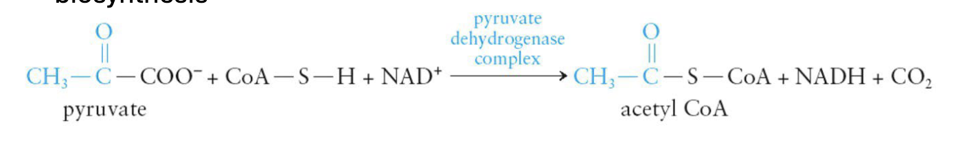 <p>Occurs in the mitochondria under <strong>aerobic </strong>conditions</p><ul><li><p>Most of the acetyl CoA will be completely oxidized to CO2 in the CAC</p></li><li><p>NAD+ is regenerated when NADH transfers its electrons to O<sub>2</sub> in the ETC</p></li><li><p>Some acetyl CoA will serve as starting material for fatty acid biosynthesis</p></li></ul><p></p>