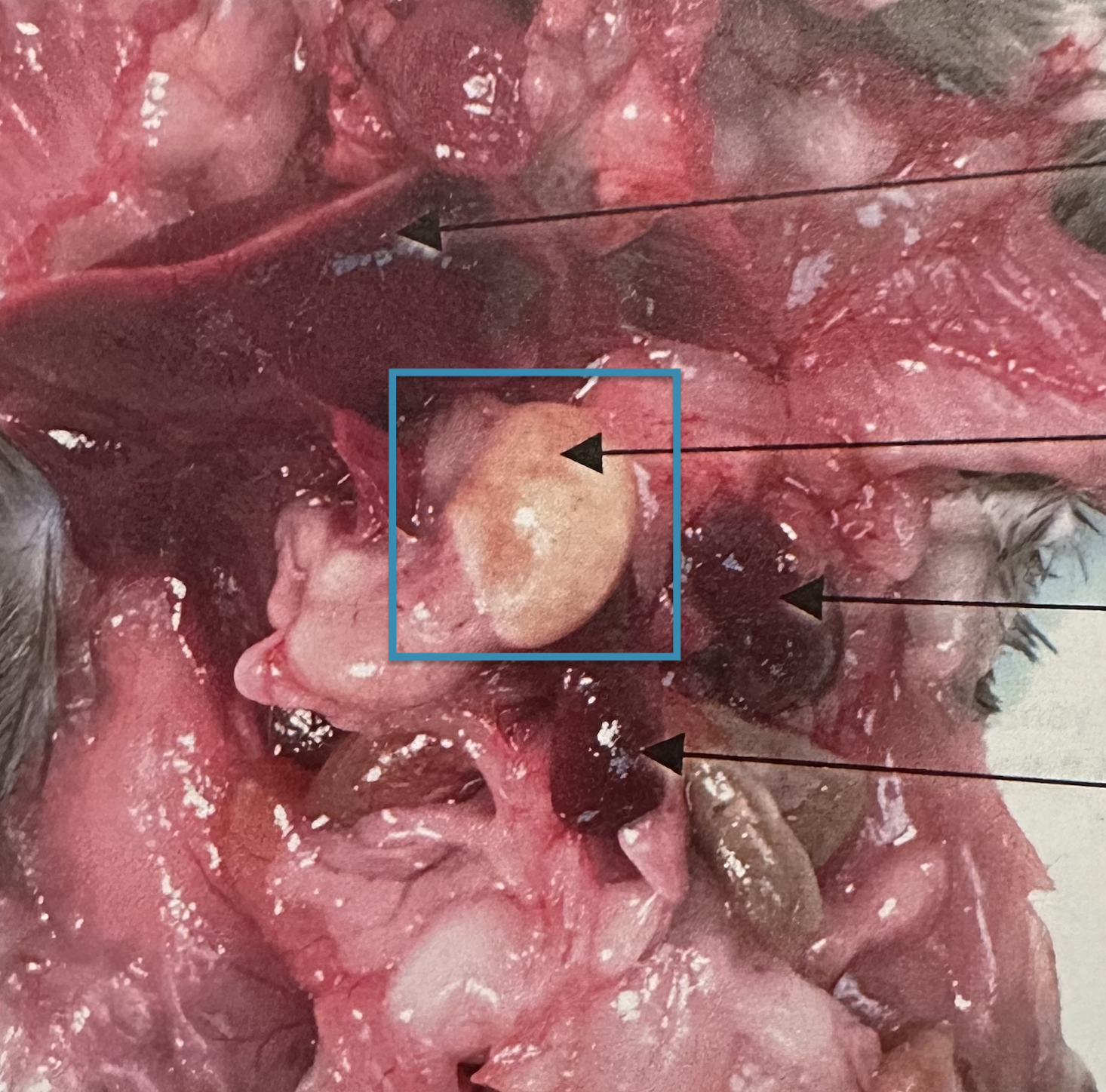 <p>What is this?</p>