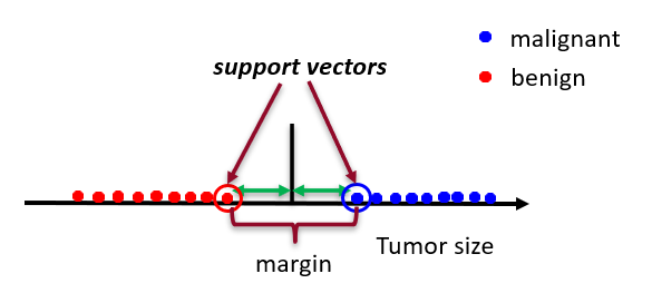 <p>distance between support vectors</p>