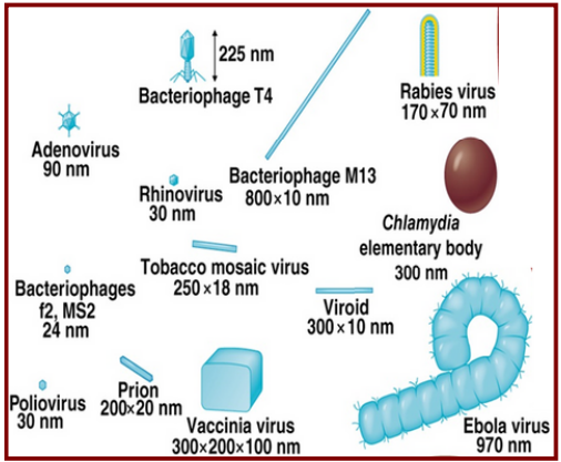 <p>20 to 900 nm</p><p>(0.02 to 0.90 um)</p>