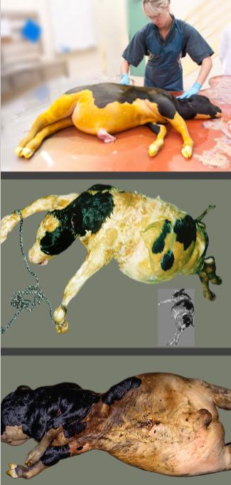 <p>What this?</p><p>Describe it?</p><p>Causes?</p><p>TX?</p>