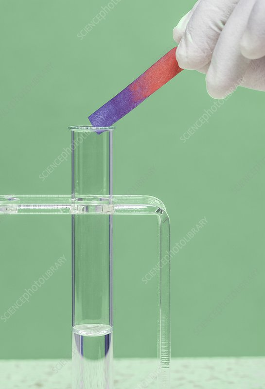<p>Hydroxide ions make solutions alkaline:</p><ol><li><p>use a pH indicator to test the unknown solution</p></li><li><p>if a piece of red litmus paper is dipped into the solution &amp; hydroxide ions are present, the paper will turn blue</p></li></ol><p></p>