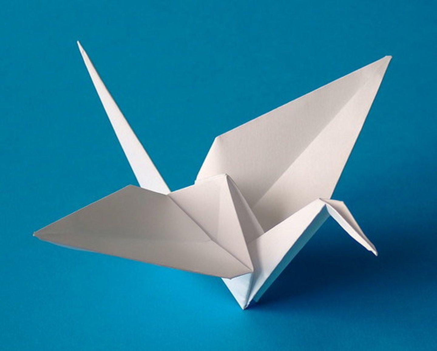<p>origami</p>